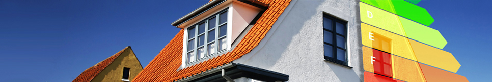 Banner - Steffen Püster